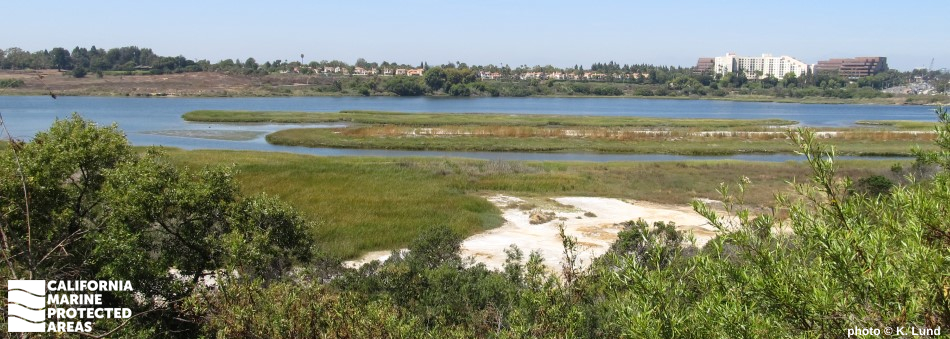 View of marsh in Upper Newport Bay SMCA and city in distance